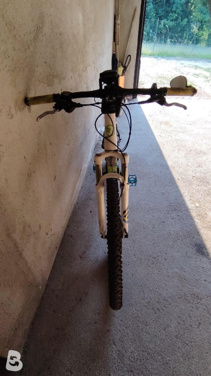Brinke Step 2015