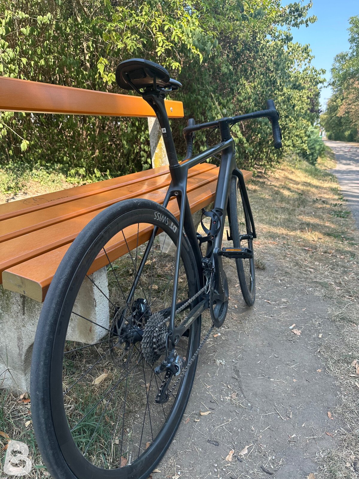 Canyon Cf sl 2020