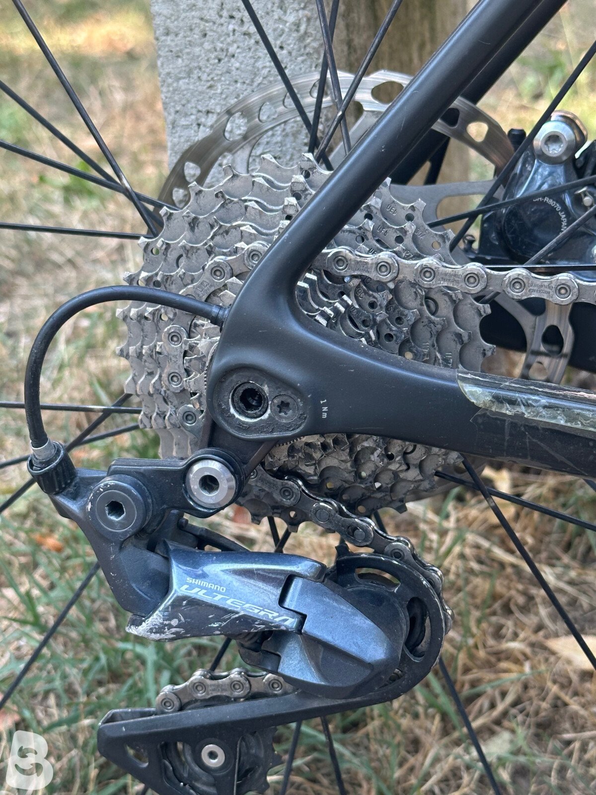 Canyon Cf sl 2020