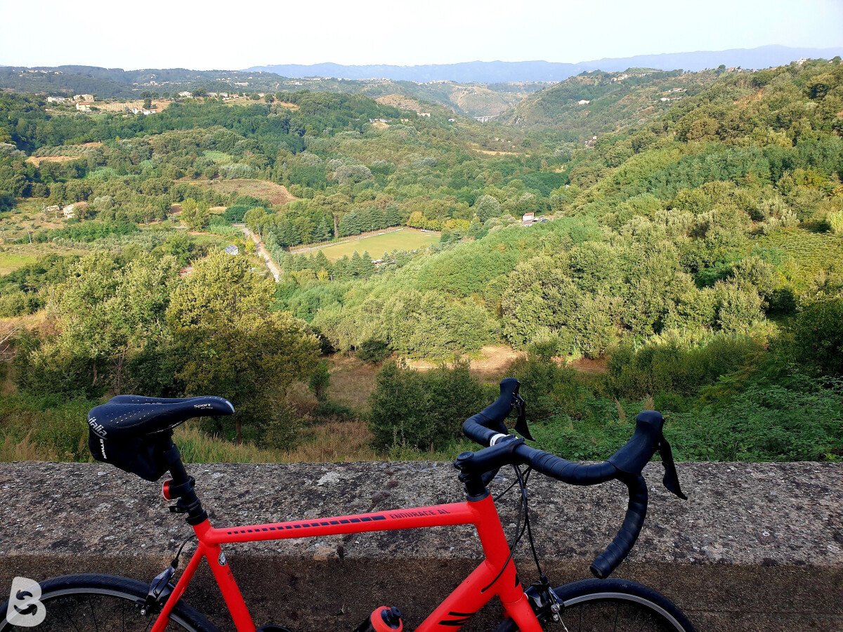Canyon Endurance All 7 2023