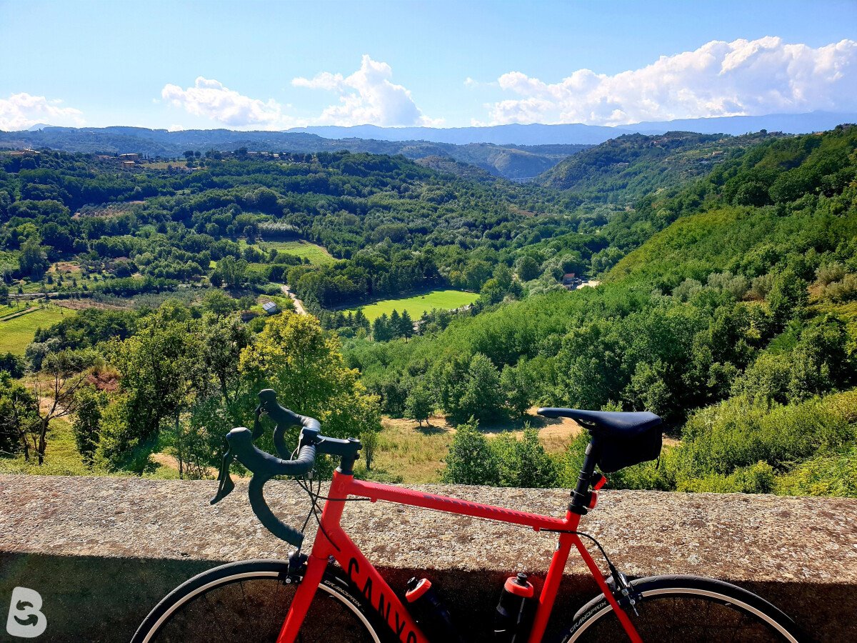 Canyon Endurance All 7 2023