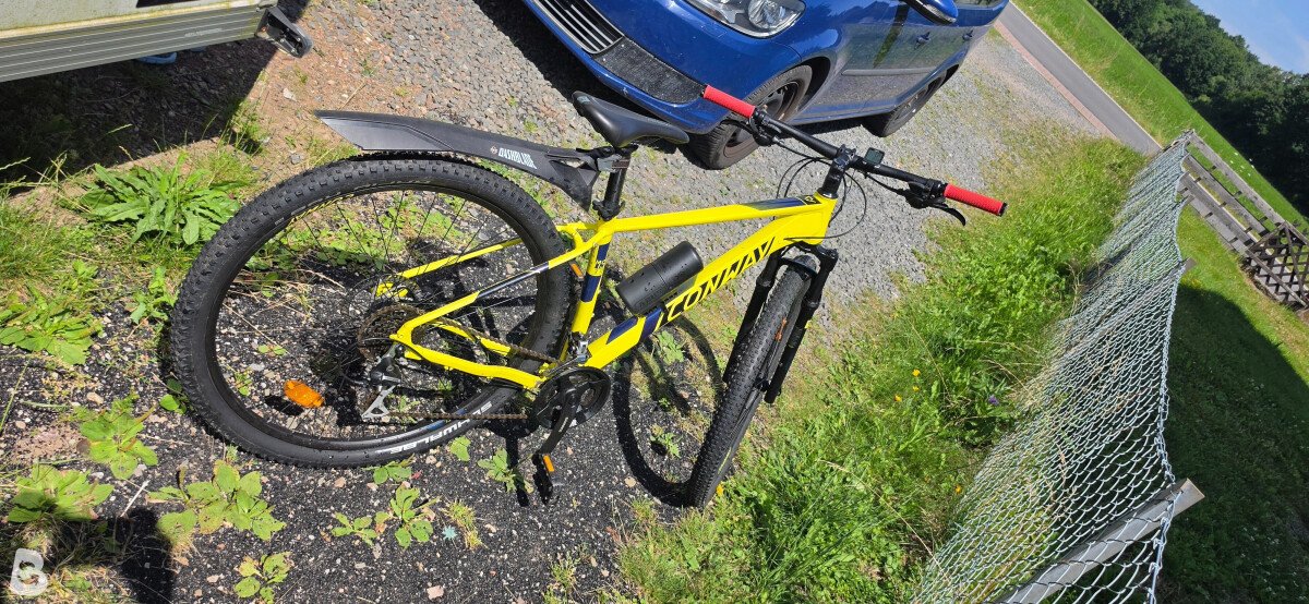 Conway MS 3.9 Hardtail 2024