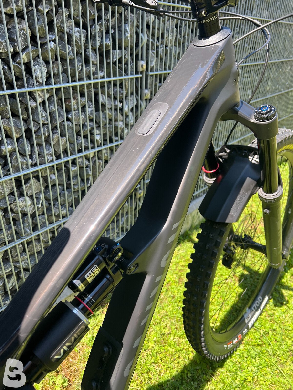 Canyon Spectral CF 8.0 2025