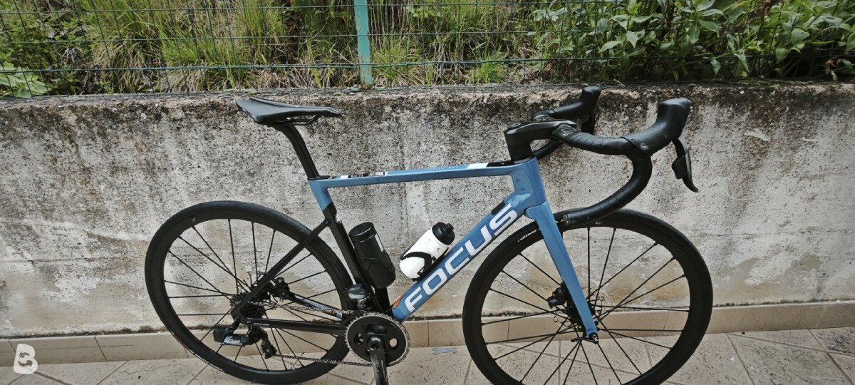 Focus Izalco9.7 2021