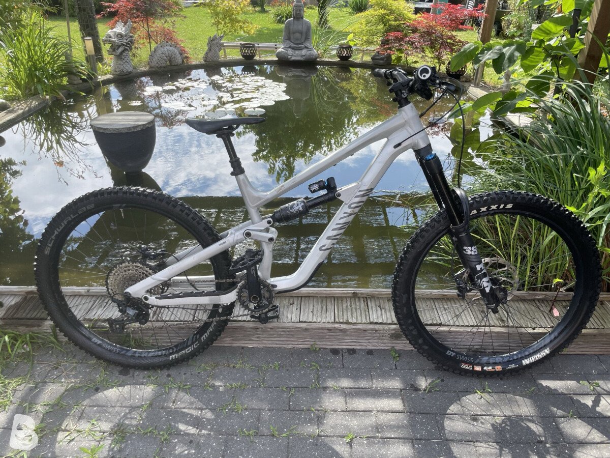 Canyon Torque Mullet CF 8 2022