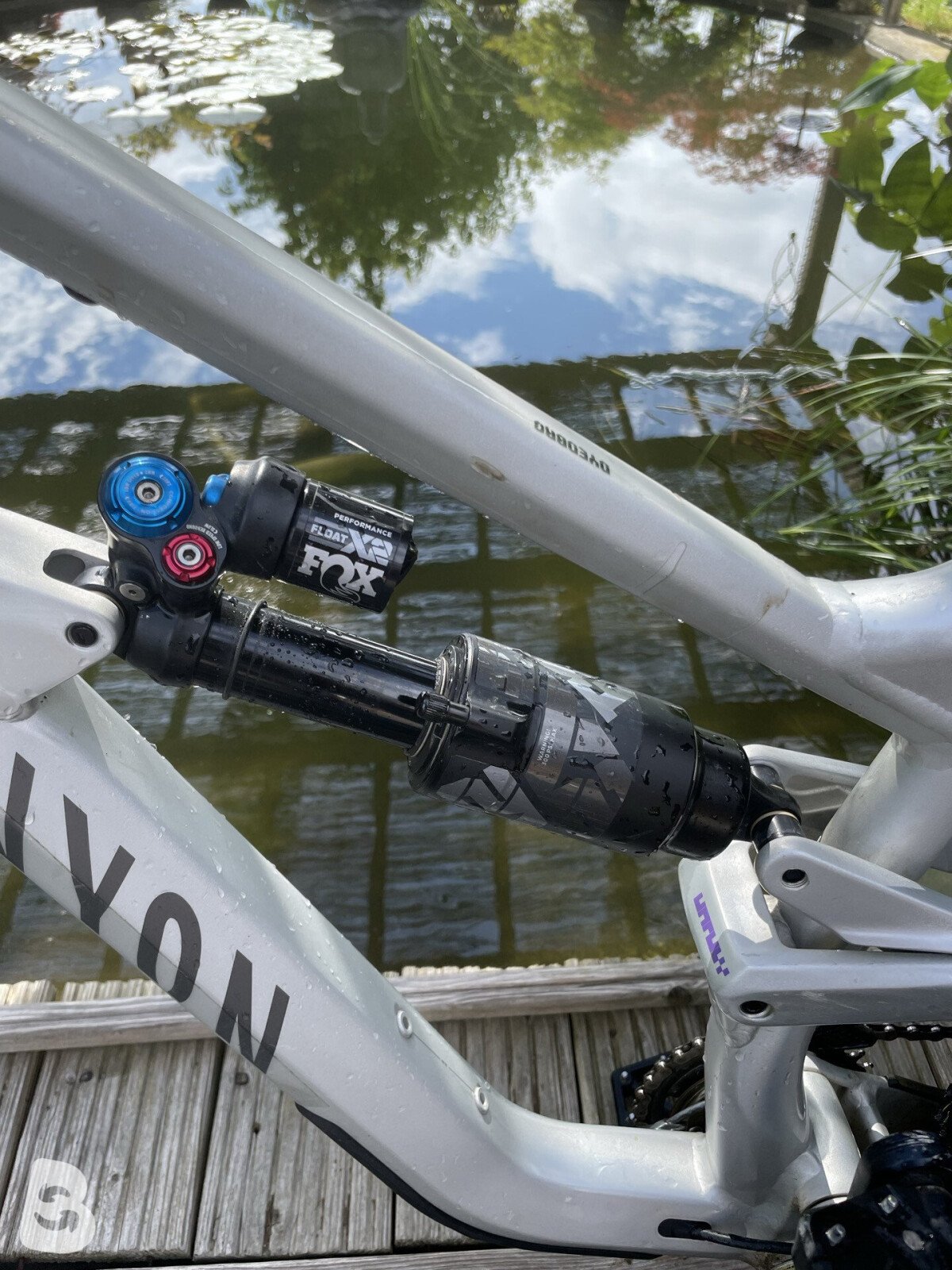 Canyon Torque Mullet CF 8 2022