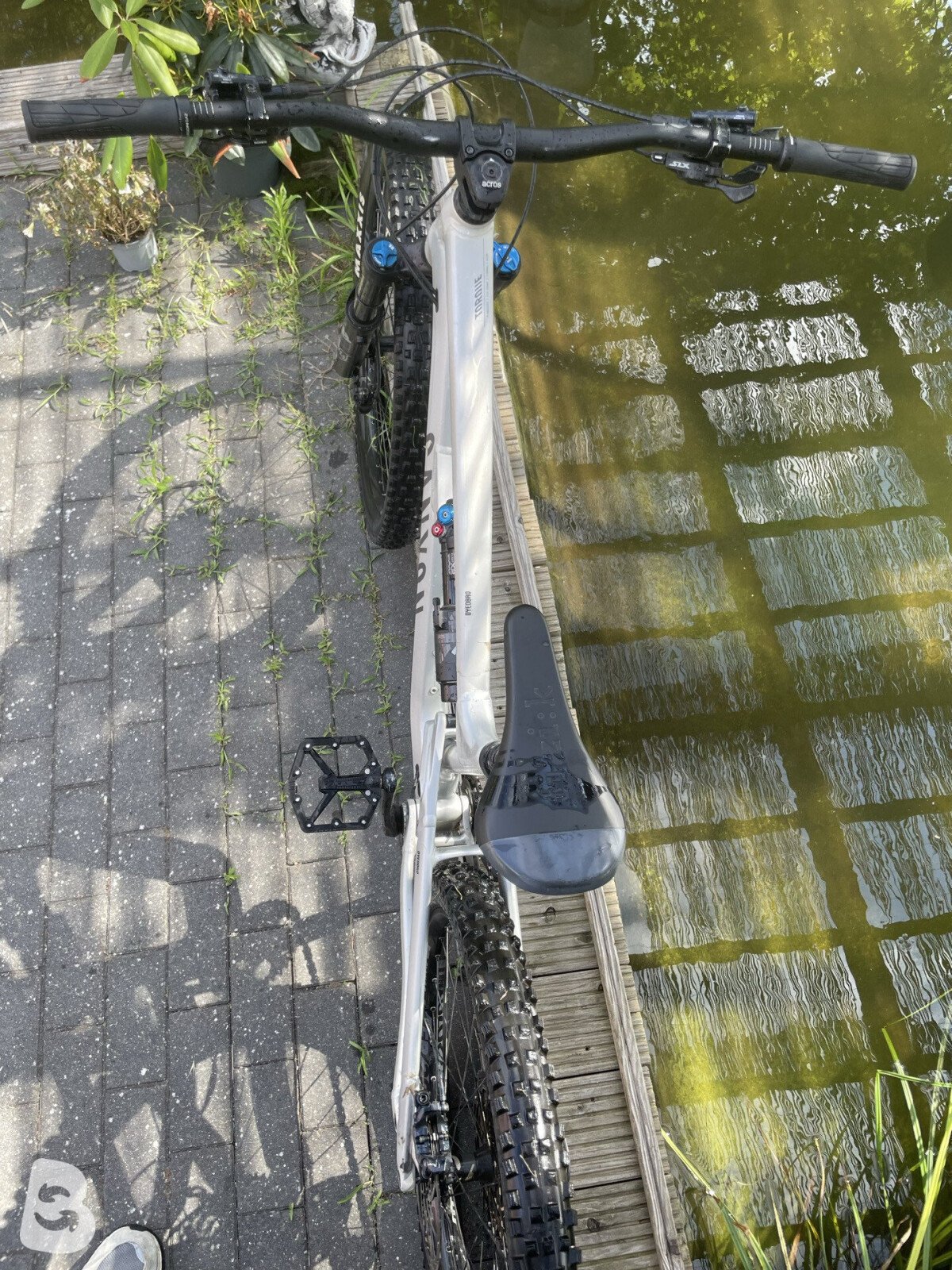 Canyon Torque Mullet CF 8 2022