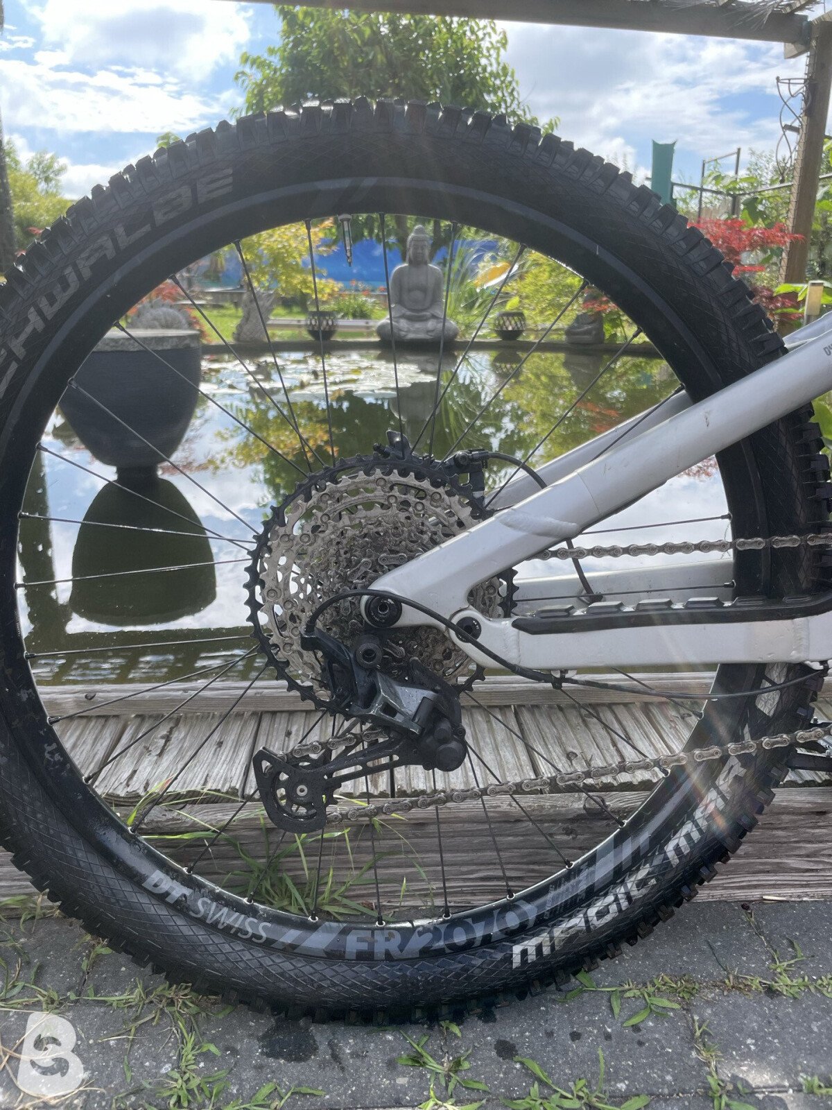Canyon Torque Mullet CF 8 2022