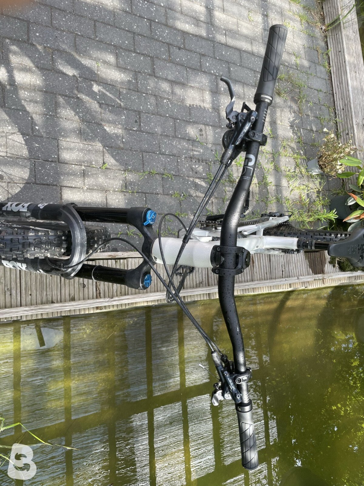 Canyon Torque Mullet CF 8 2022