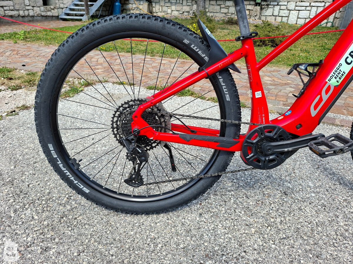 Corratec E-Power X Vert Elite Sport 2024