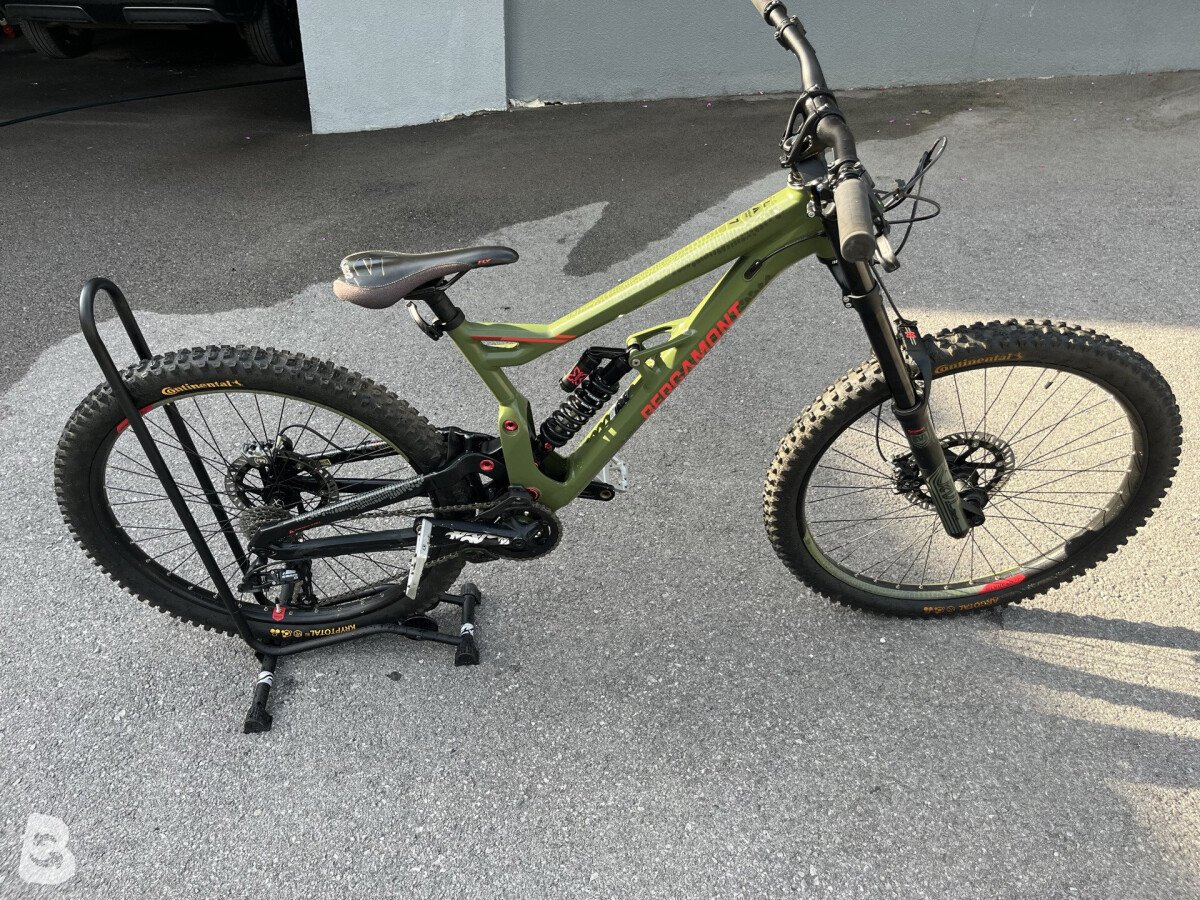 Bergamont Straitline 7 2020