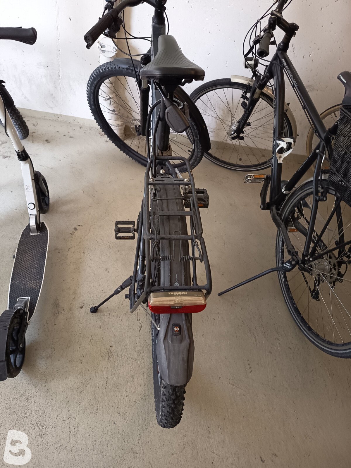 Cannondale Trail 2019