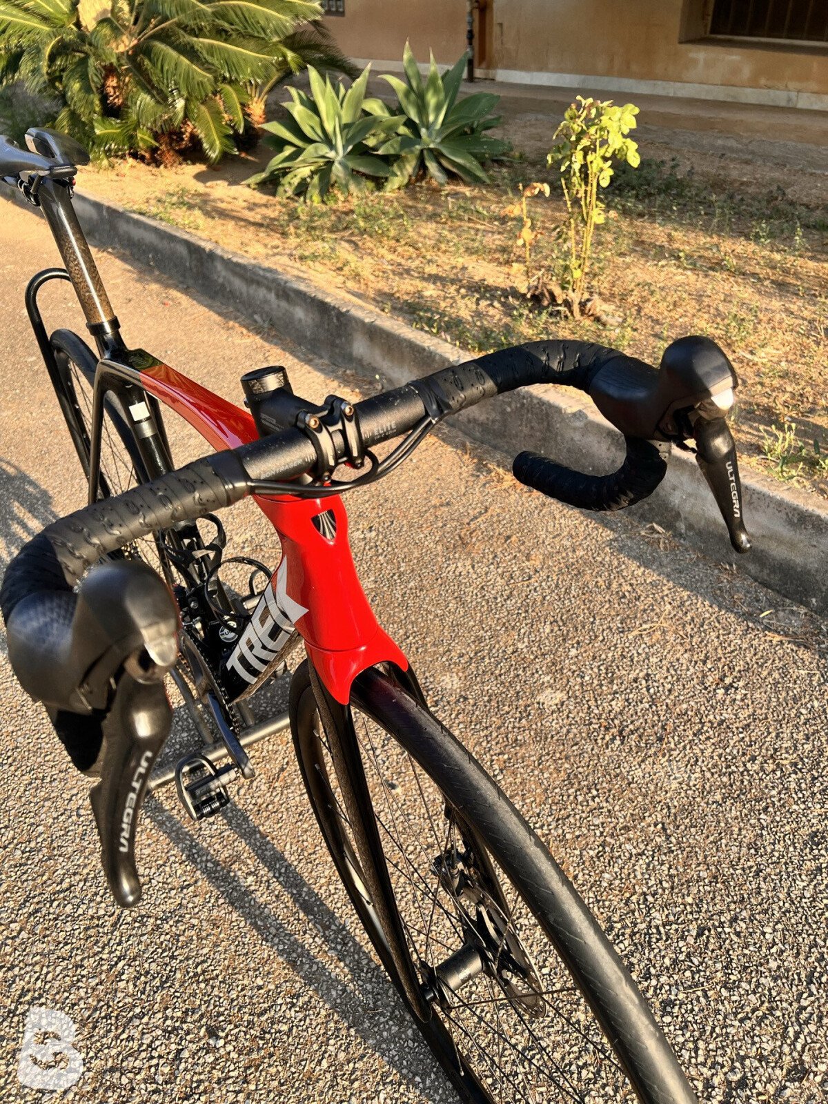 Trek Émonda SL 6 Disc 2022