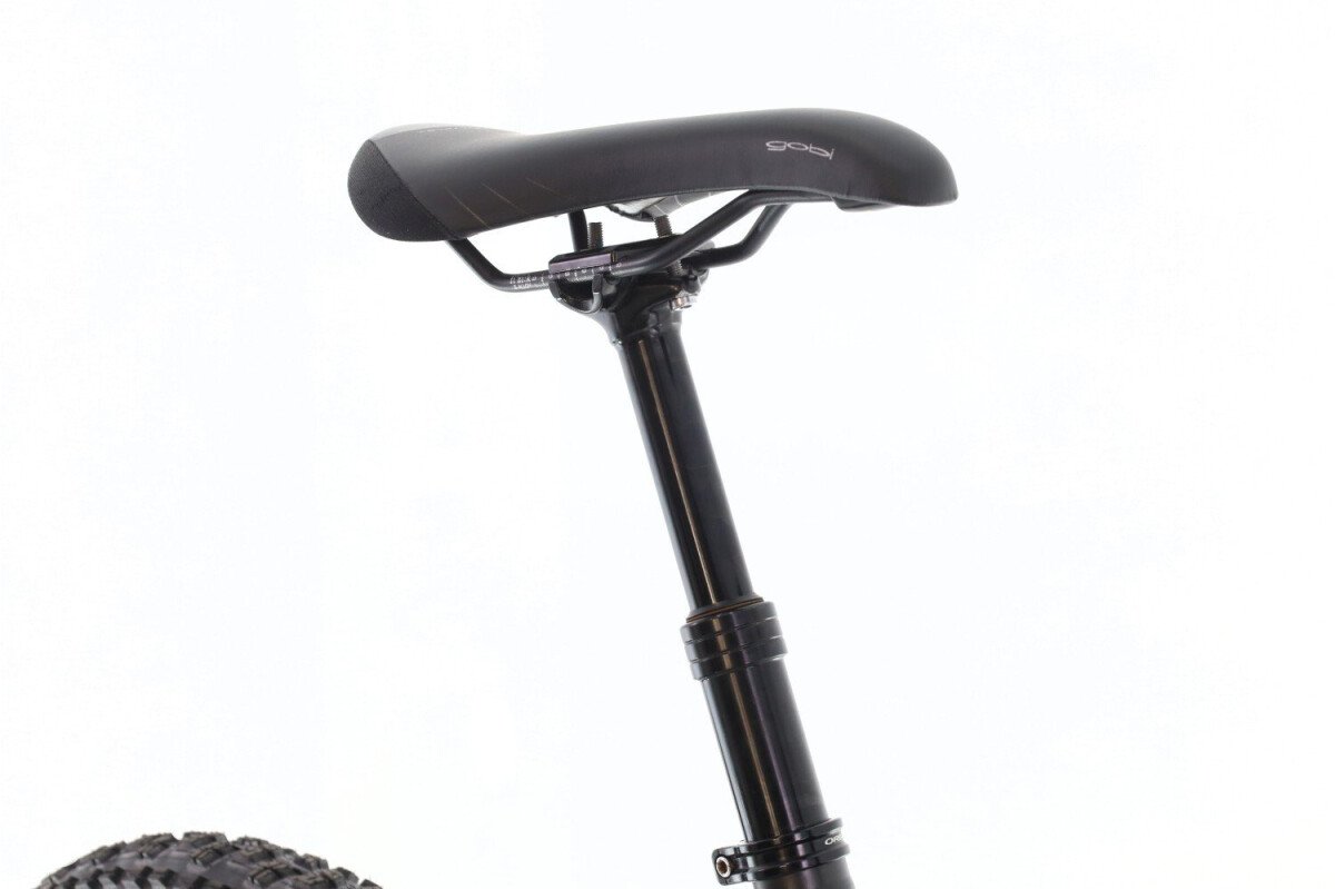 Orbea Wild 2022