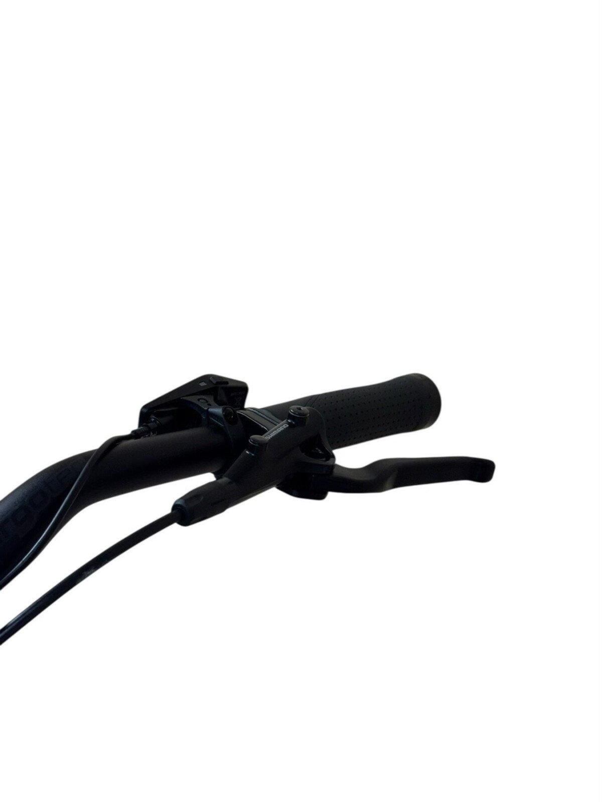 Flyer Gotour 7.12 XC Shimano Cues 2024