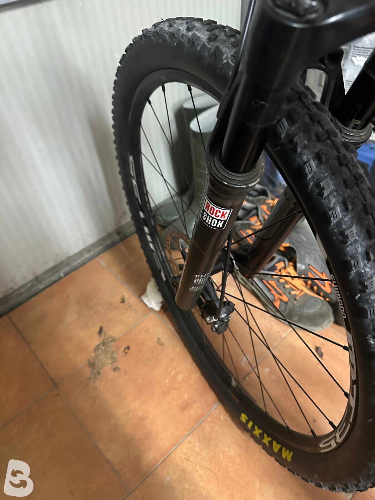 Wilier Triestina 2024