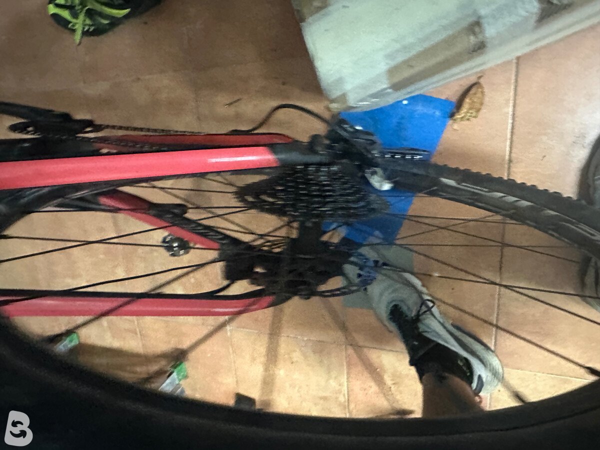 Wilier Triestina 2024