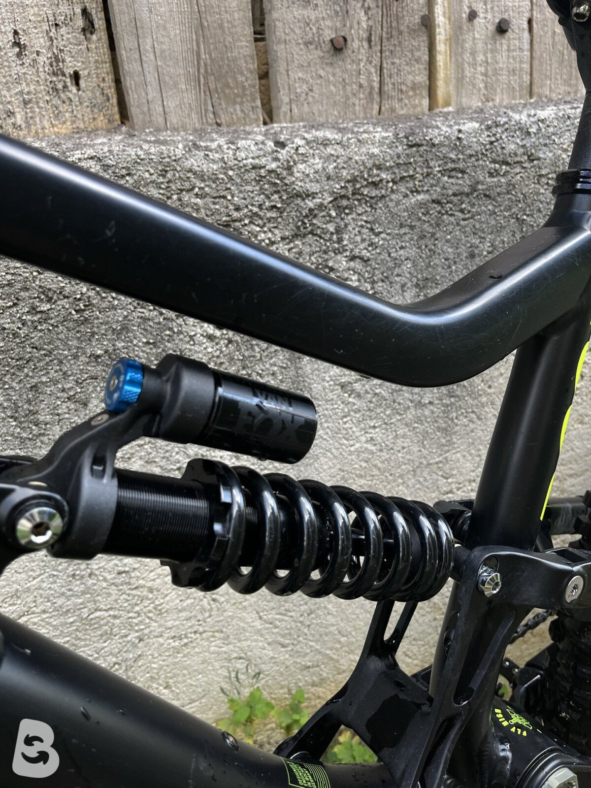 Rose SOUL FIRE DH 2021