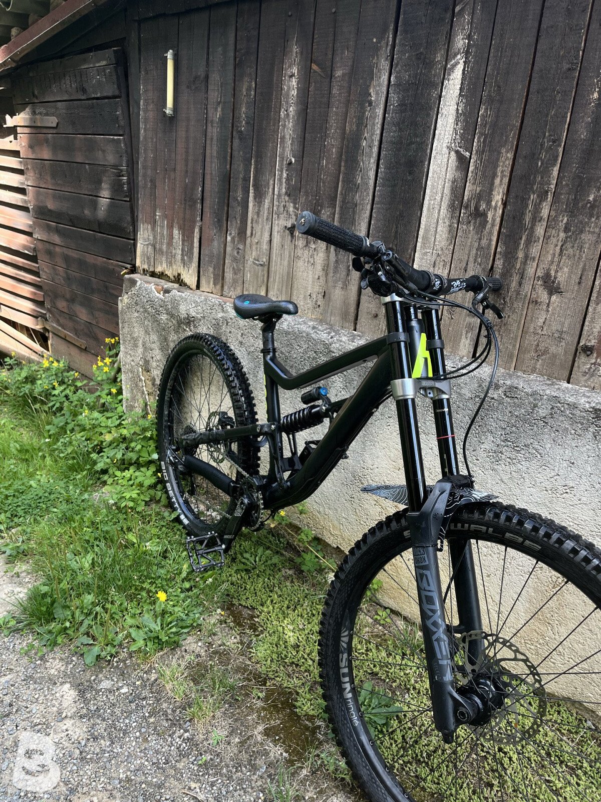 Rose SOUL FIRE DH 2021