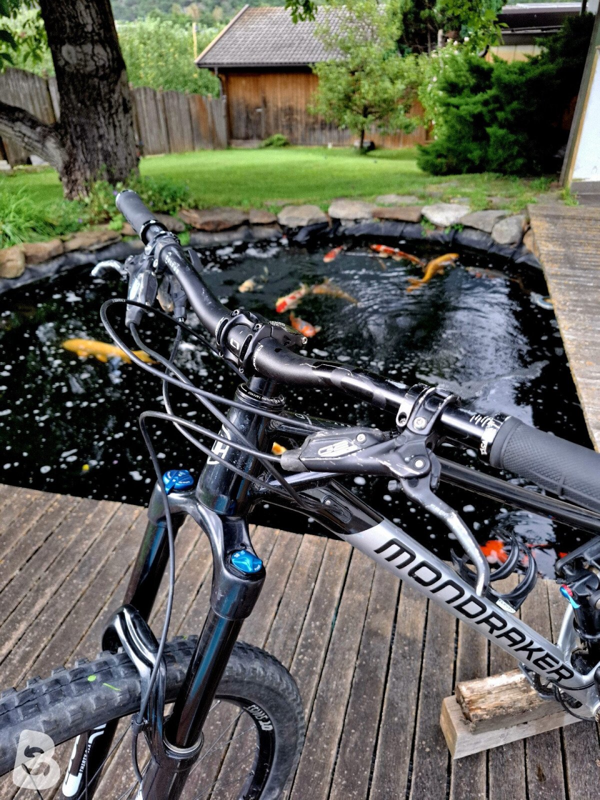 Mondraker Foxy 29 2022