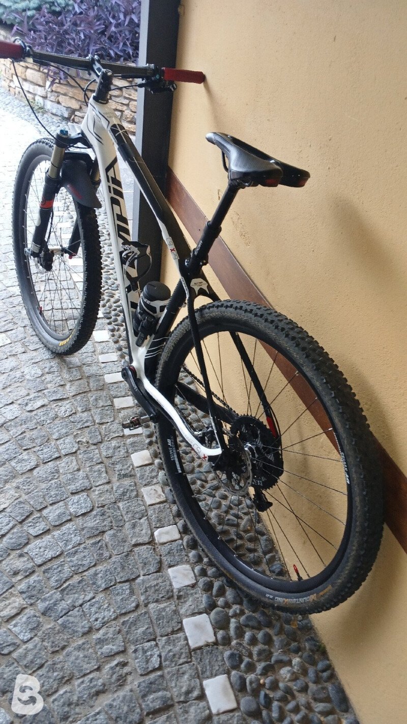 Olympia Cslx29 2016