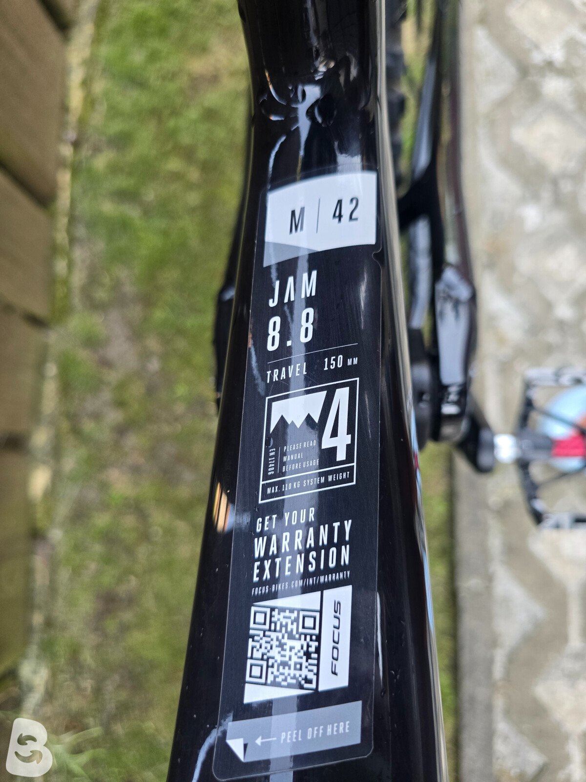 Focus JAM 8.8 2022