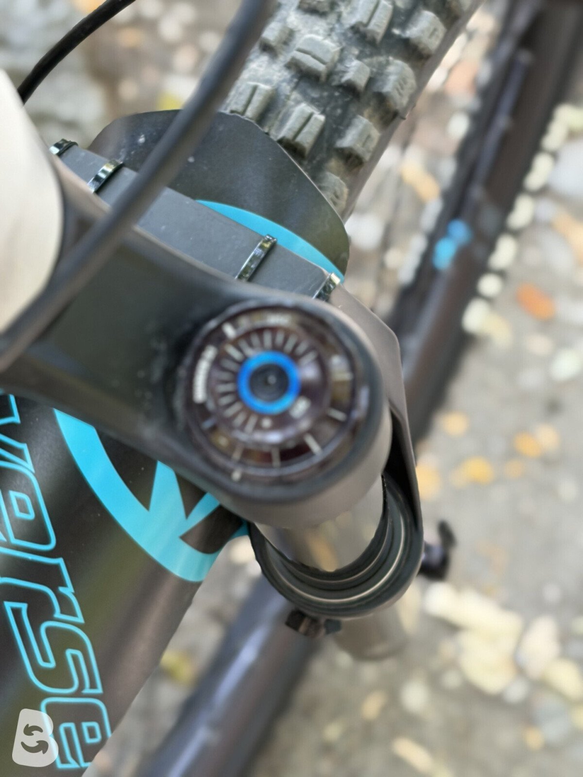 Canyon Torque AL 6.0 2024