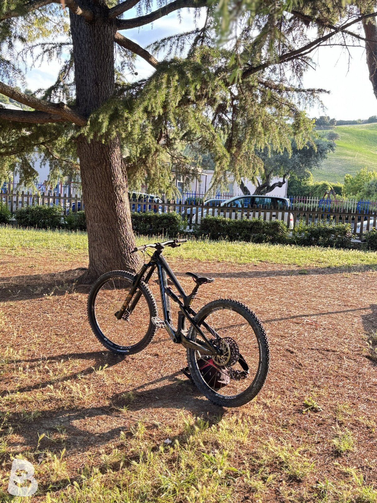Canyon spectral cf 8 2021