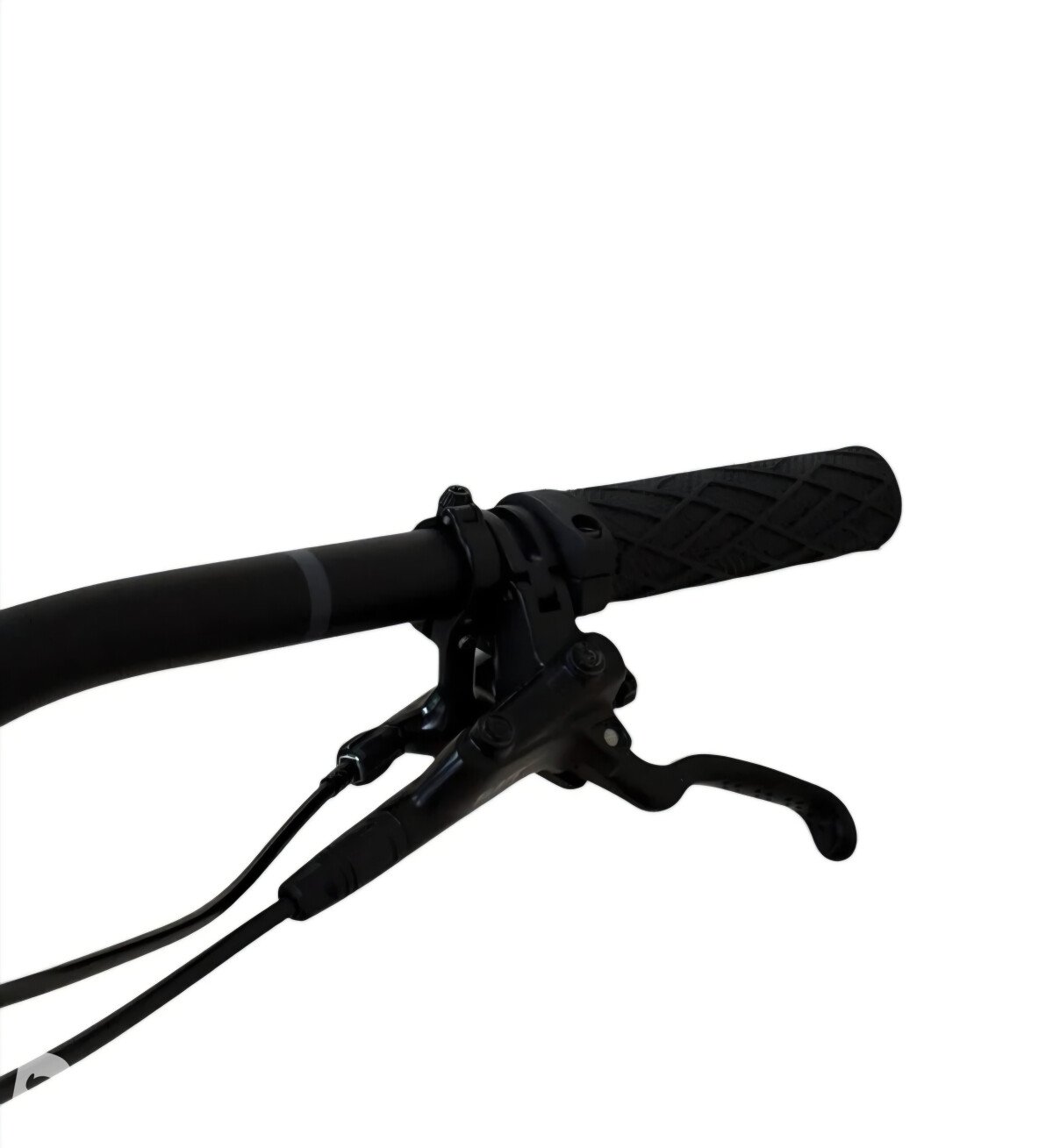 Trek Roscoe 9 2025