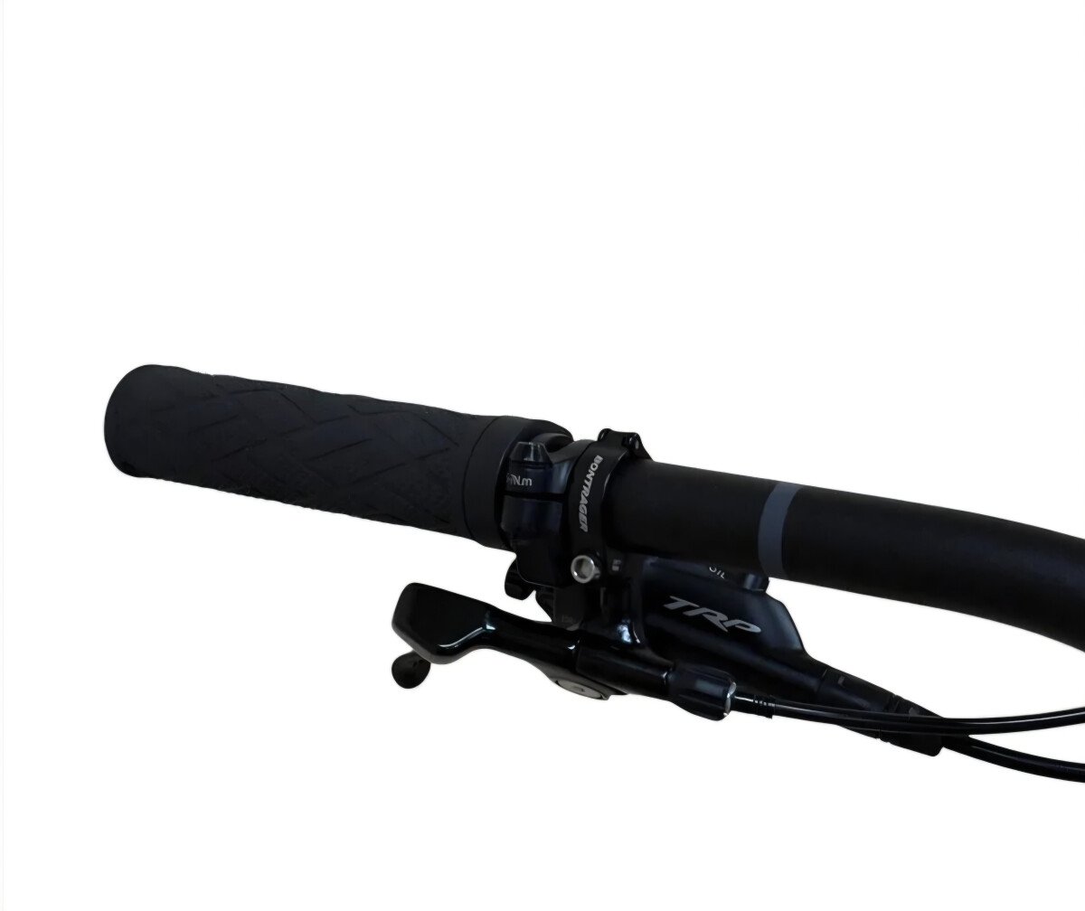 Trek Roscoe 9 2025