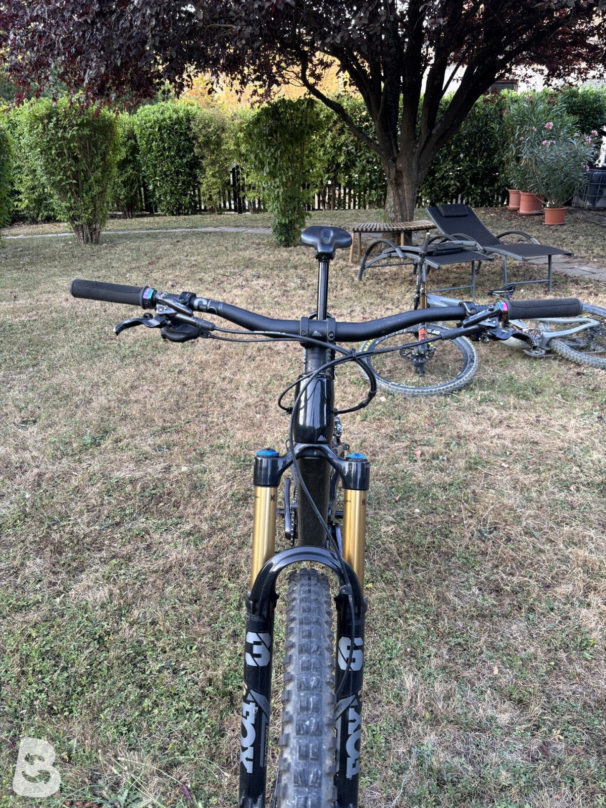 Canyon Torque CF8 2022