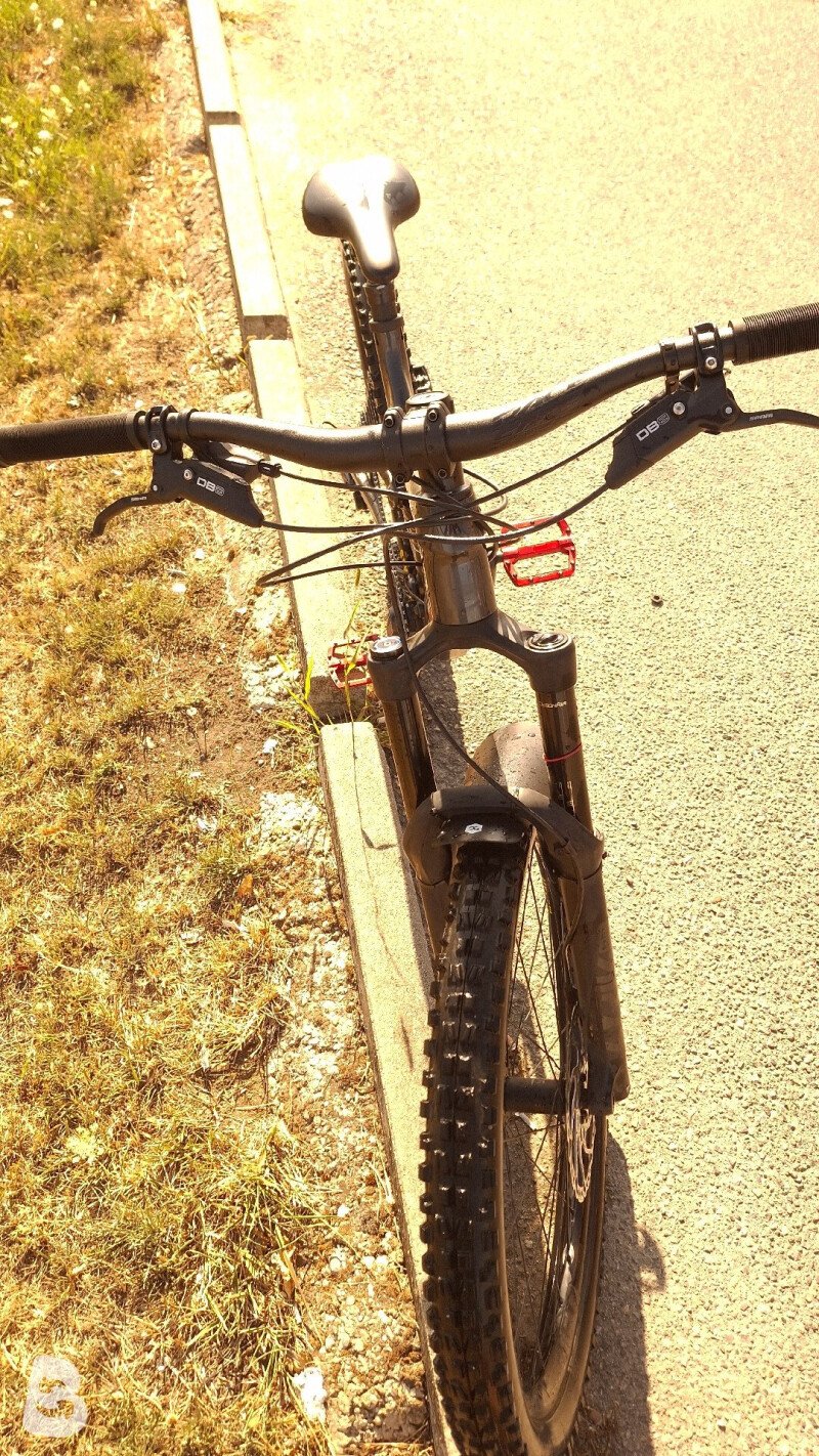 Trek Remedy 8 2021