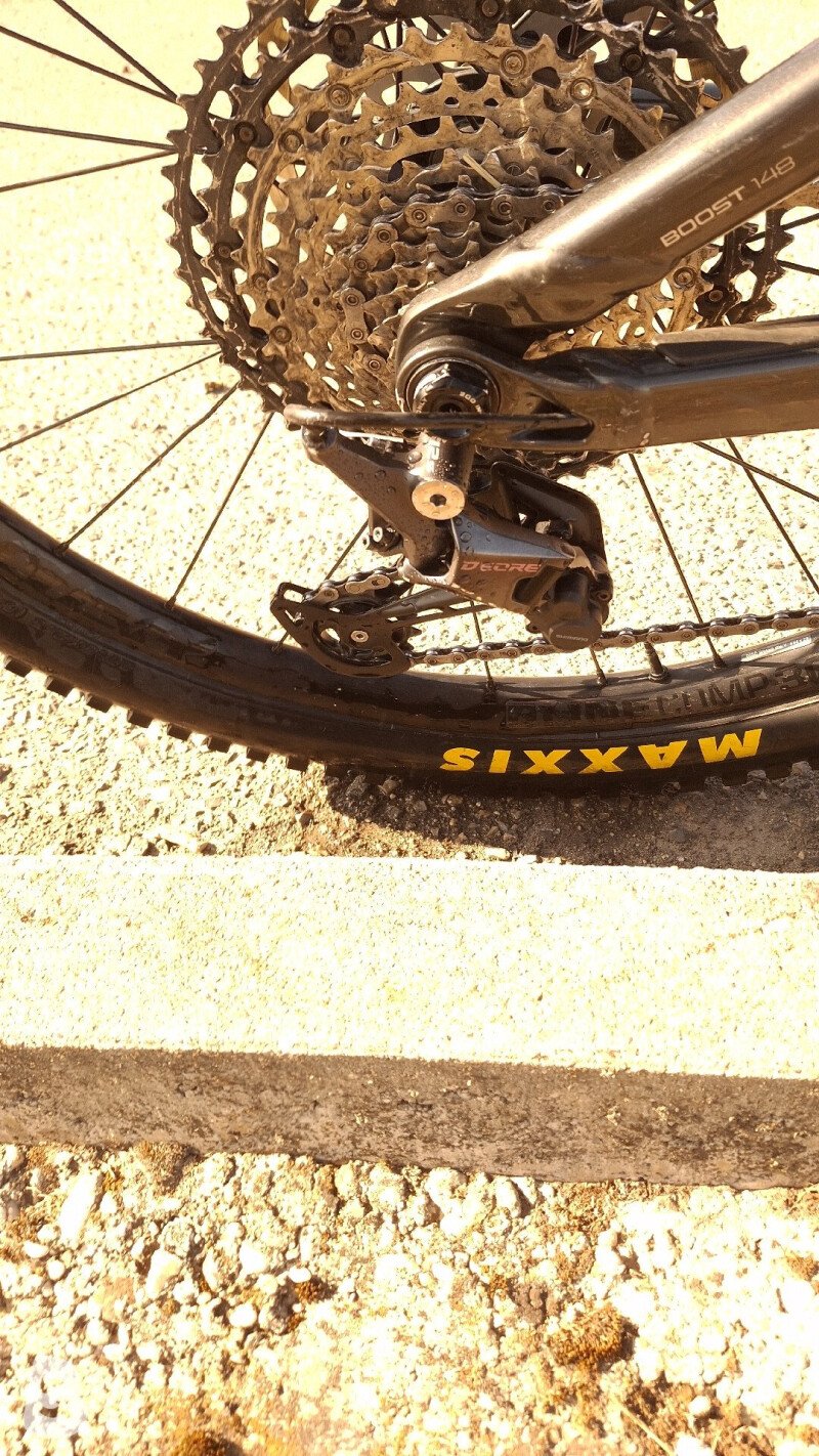 Trek Remedy 8 2021