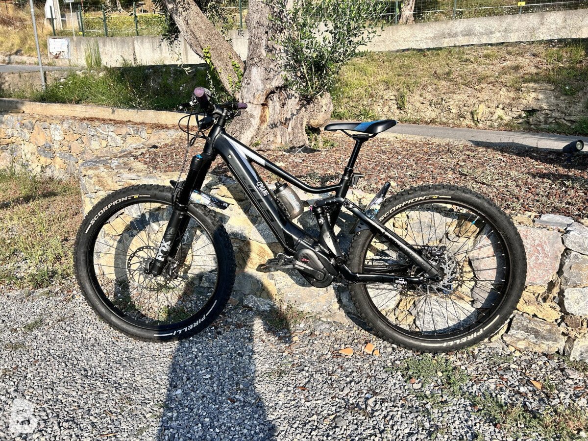 Bulls E-Stream EVO AM 4 2019
