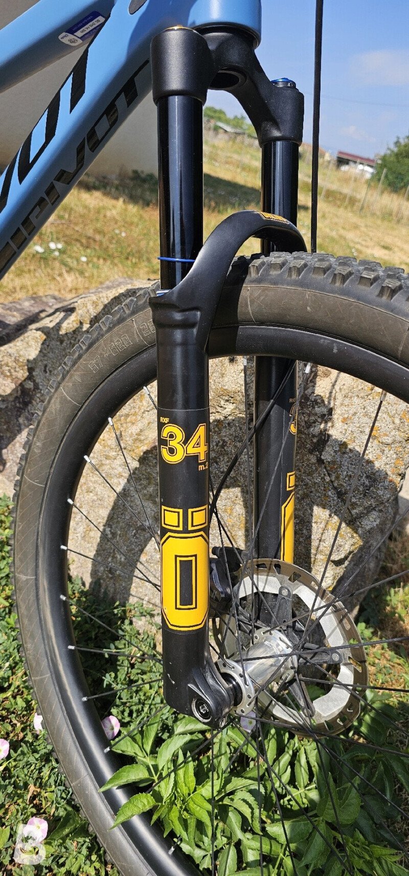 Pivot Trail 429 Pro XT/XTR 2021