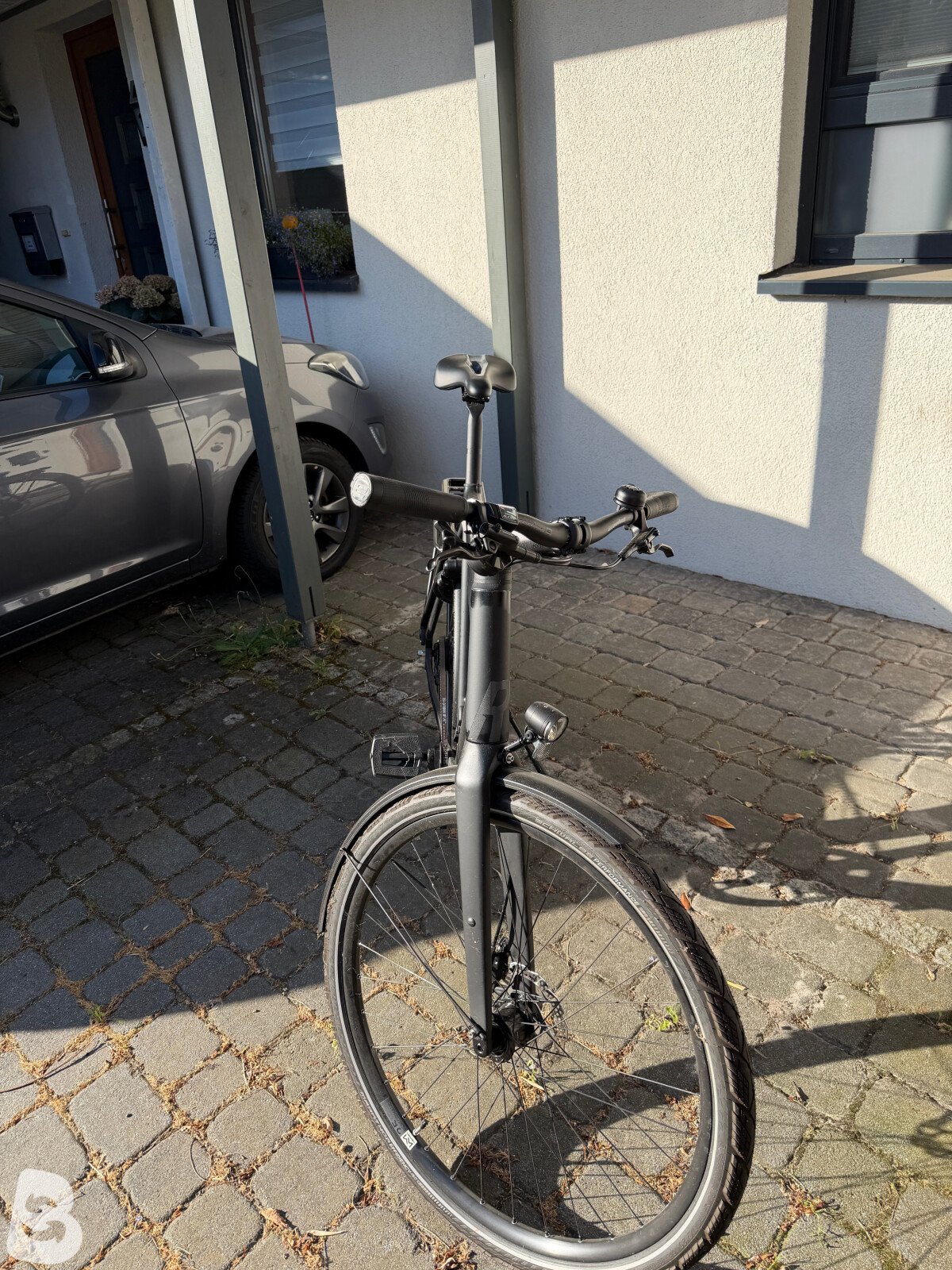 Rose BLACK LAVA 2 2023