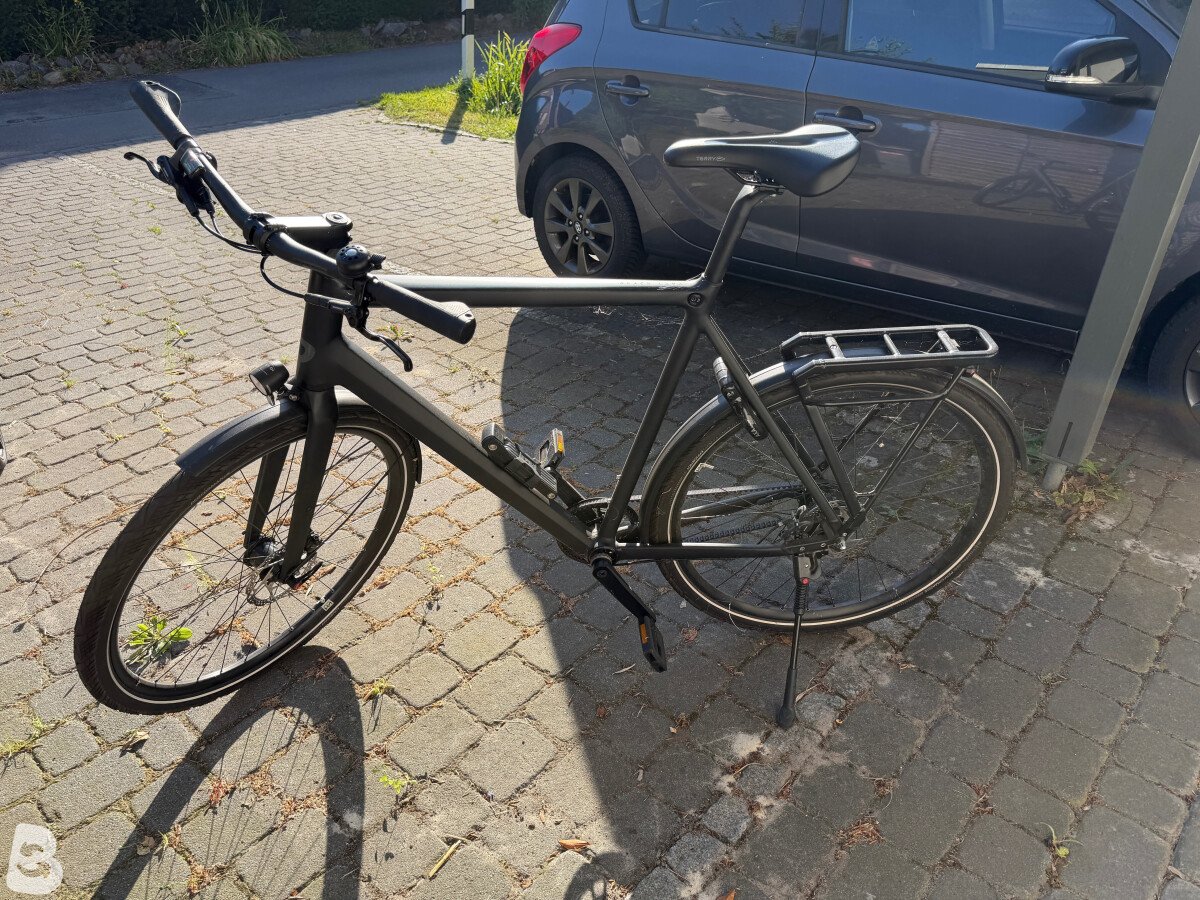 Rose BLACK LAVA 2 2023