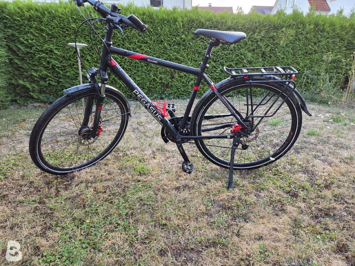 Pegasus Solero SL Disc 24 Diamond 2022