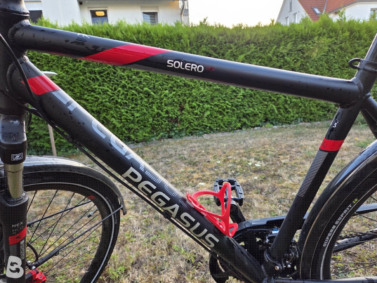 Pegasus Solero SL Disc 24 Diamond 2022