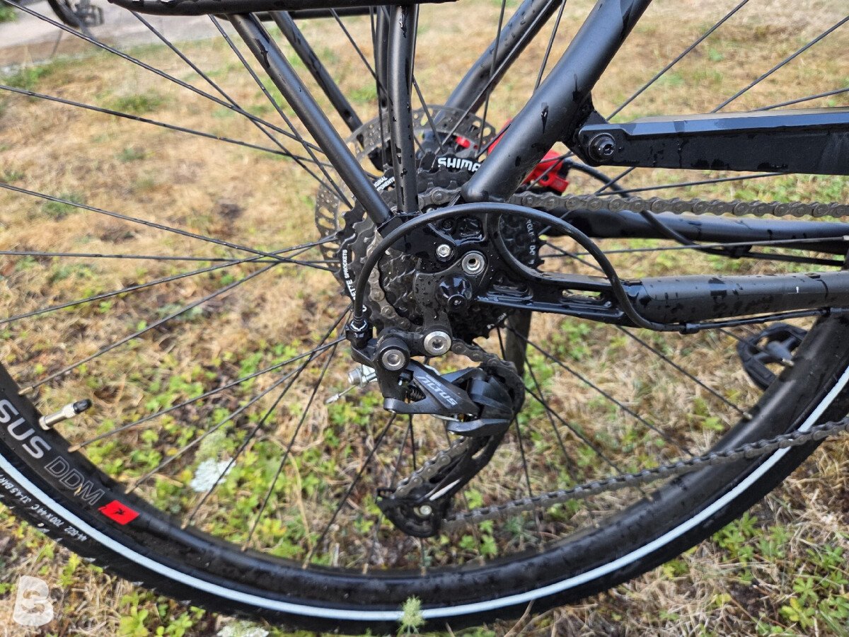 Pegasus Solero SL Disc 24 Diamond 2022