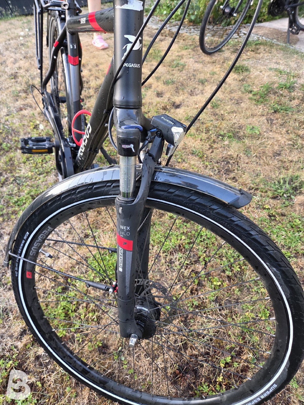 Pegasus Solero SL Disc 24 Diamond 2022