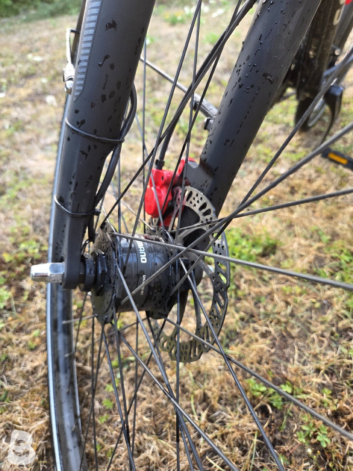 Pegasus Solero SL Disc 24 Diamond 2022