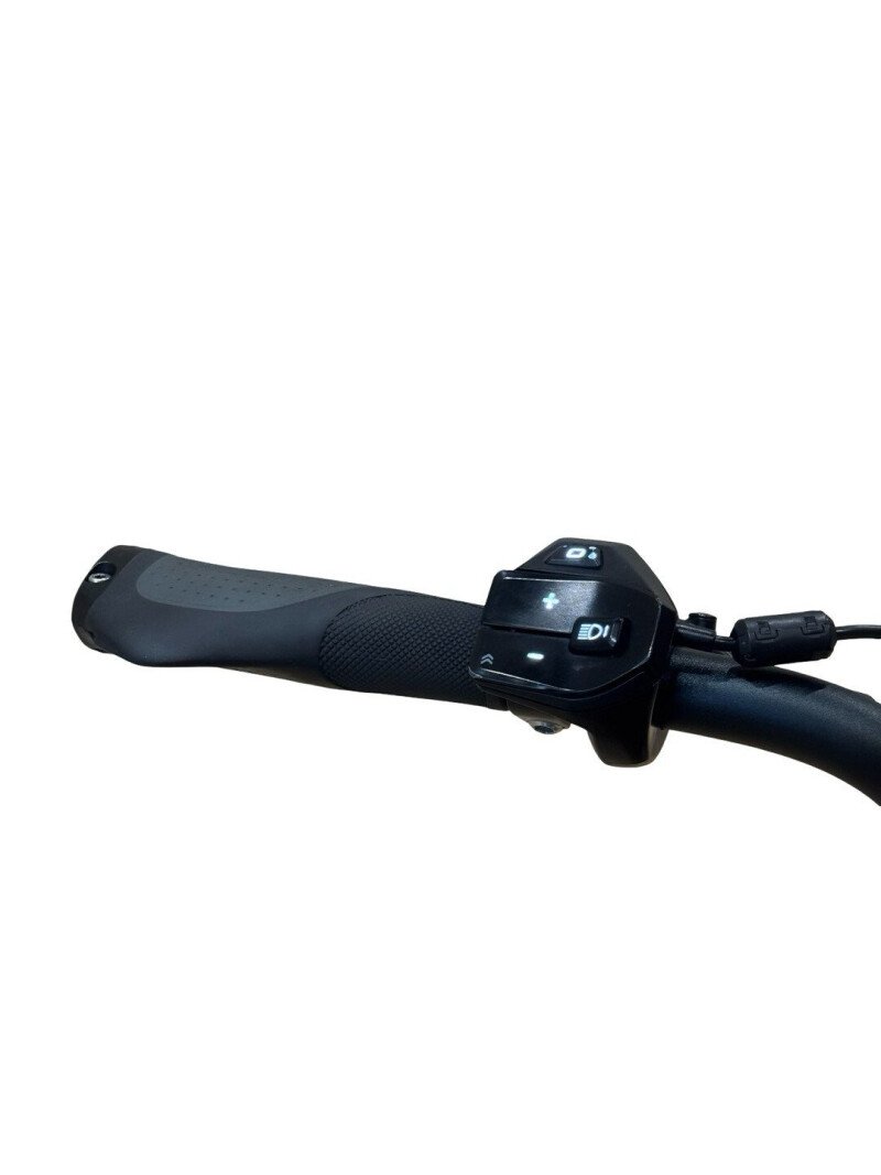 Flyer Upstreet5 5.10 Gents Shimano Alivio 2022