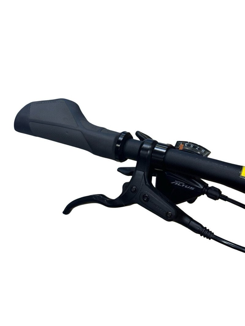 Giant Explore E+3 Shimano Alivio 2022