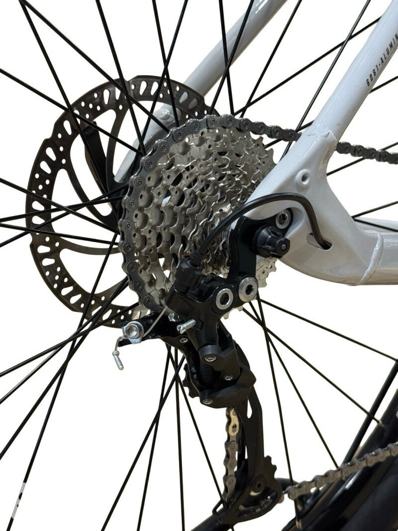 Bulls LT EVO CX 625 Shimano Alivio 2022