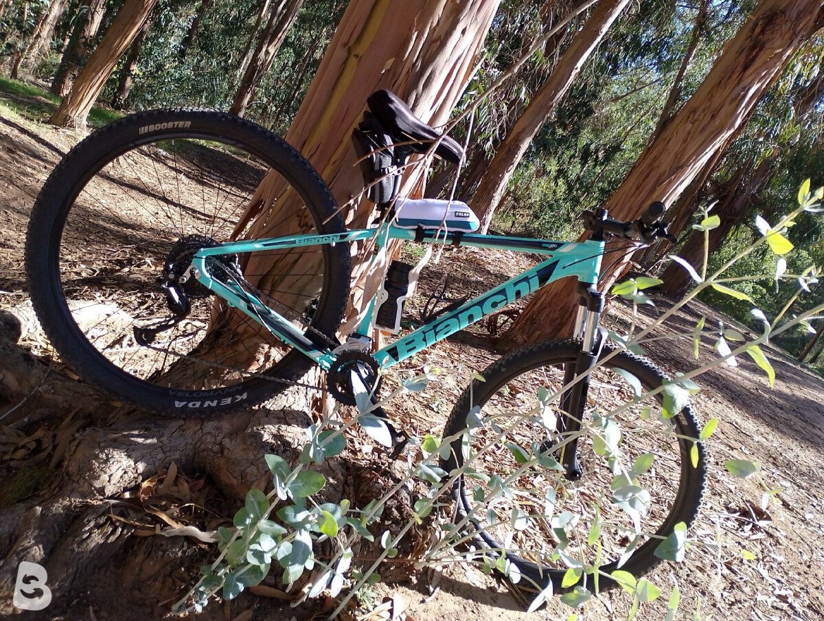 Bianchi Magma 9.2 Alivio 2023