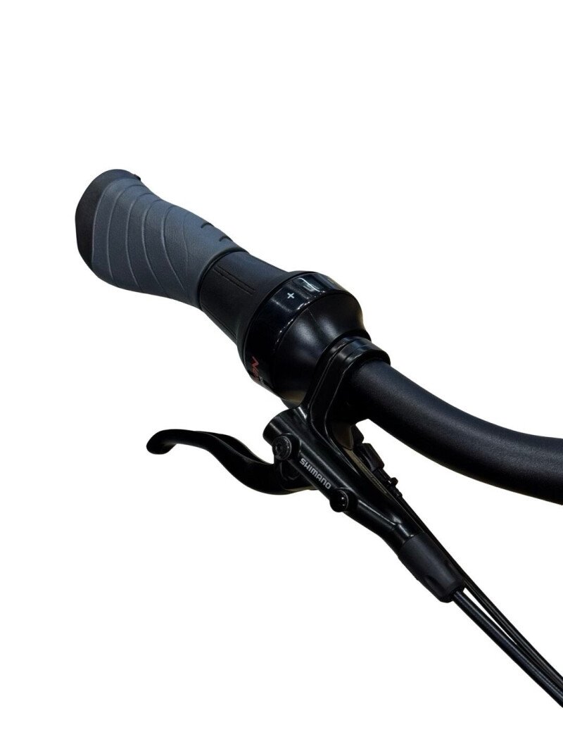 Falter SUB 9.5 FL PLUS 600 Shimano Nexus 2025