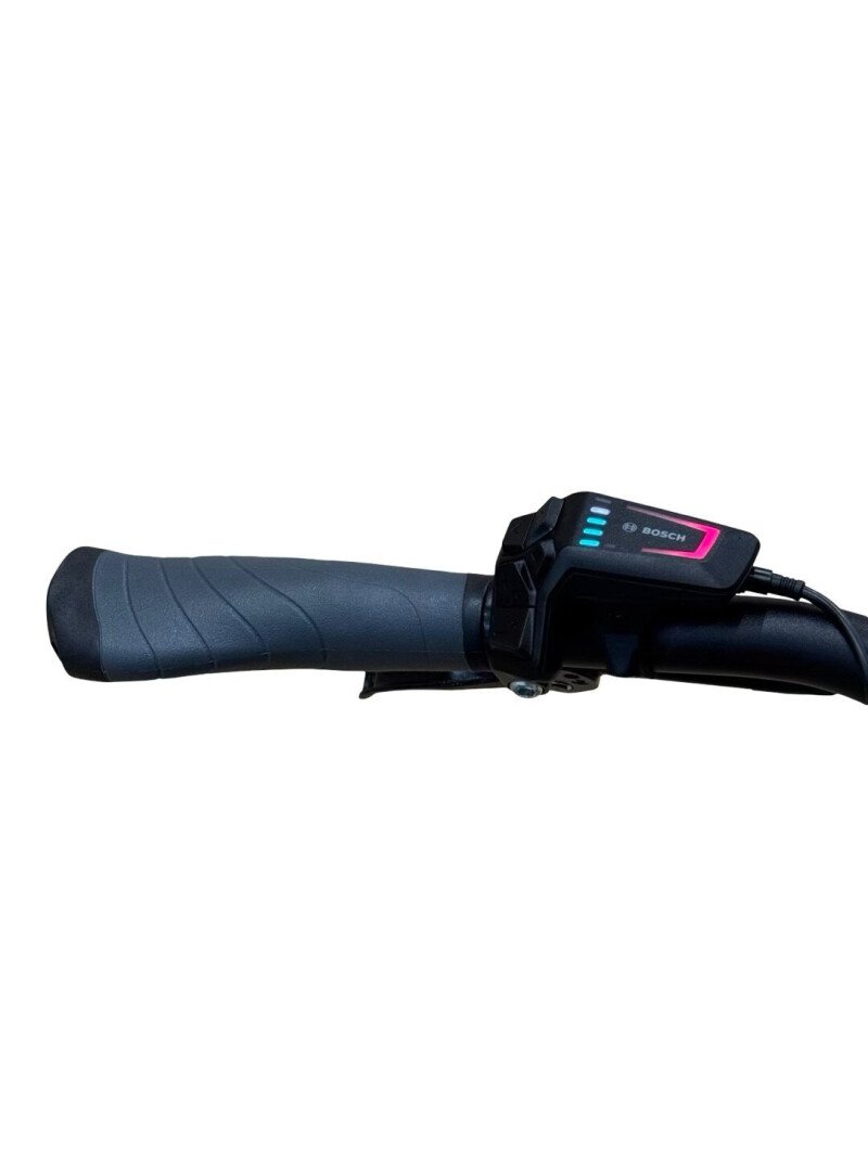 Falter SUB 9.5 FL PLUS 600 Shimano Nexus 2025