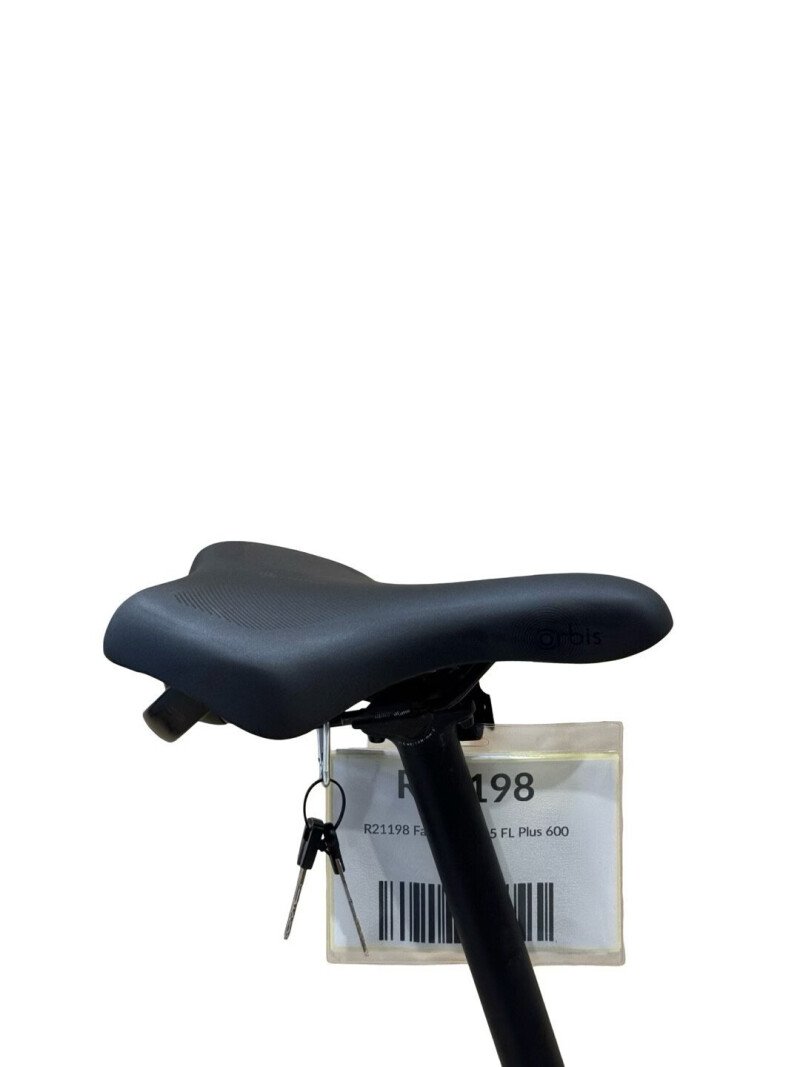 Falter SUB 9.5 FL PLUS 600 Shimano Nexus 2025