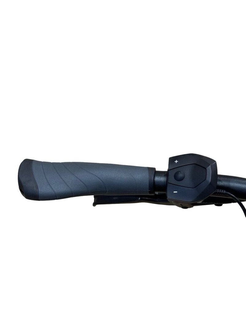 Kalkhoff Agattu 3.B Shimano Nexus 2022